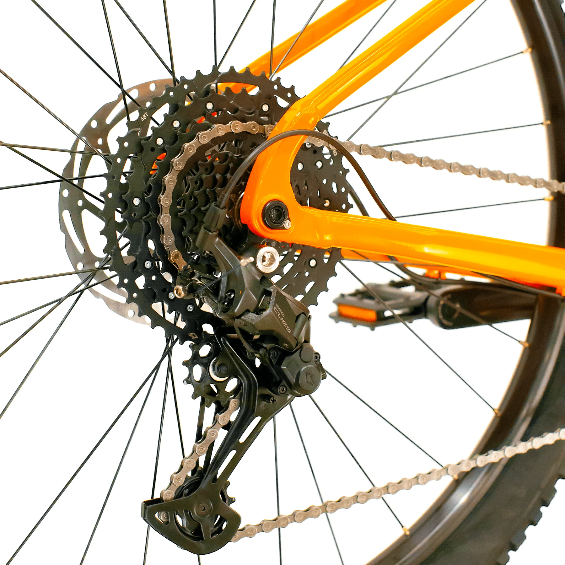 Recluse Sport 1800x1800-5-min